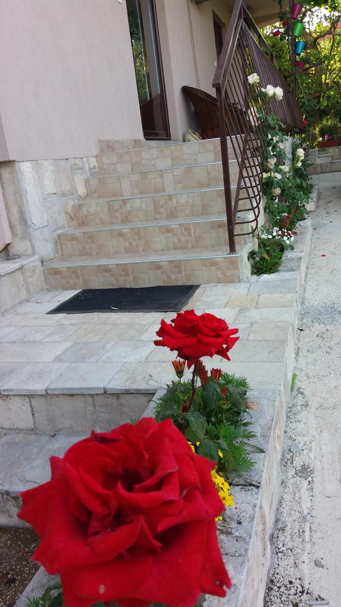 Apartments Iva Tivat Zewnętrze zdjęcie