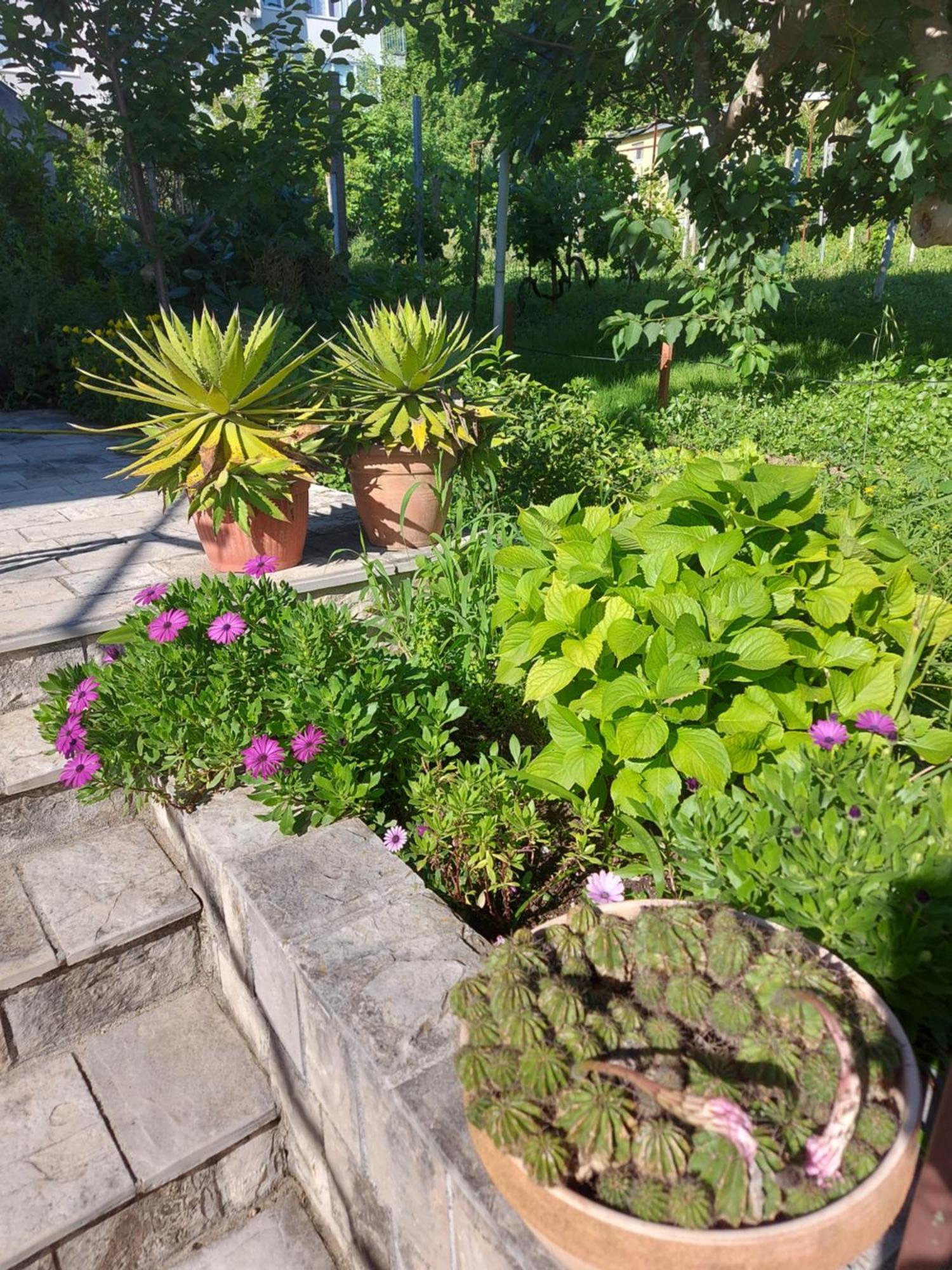 Apartments Iva Tivat Zewnętrze zdjęcie